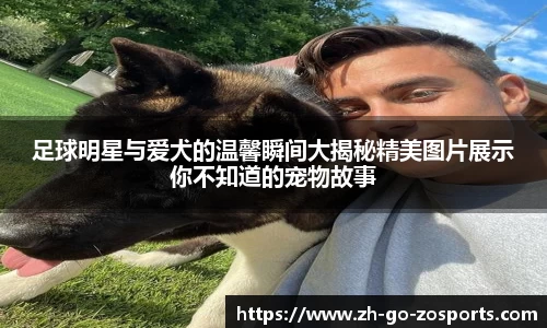 足球明星与爱犬的温馨瞬间大揭秘精美图片展示你不知道的宠物故事